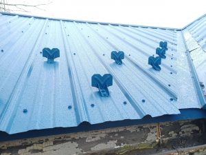 blue corrugated metal roof installed by joyland roofing with snowbirds
