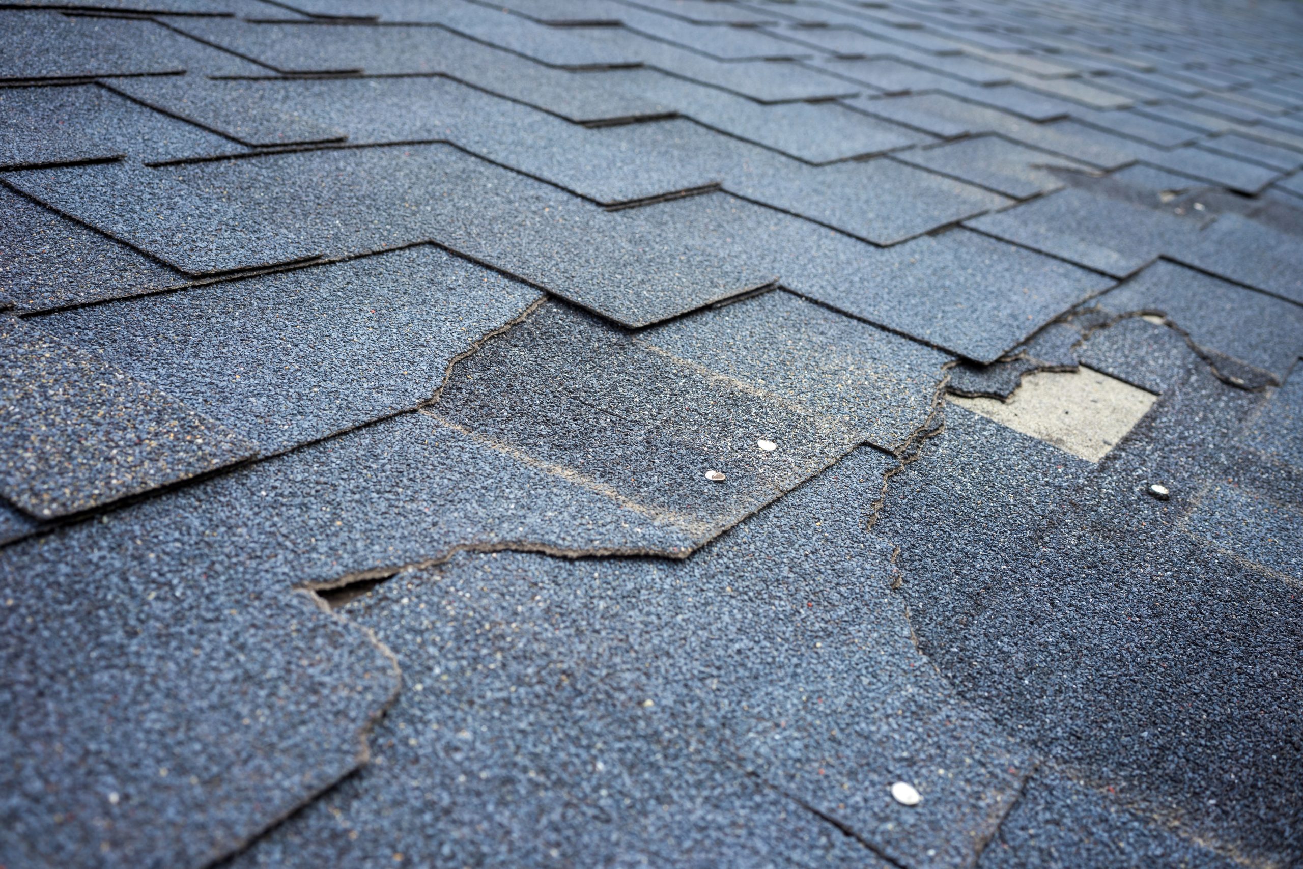 Close up of asphalt roofing shingles in need of repair