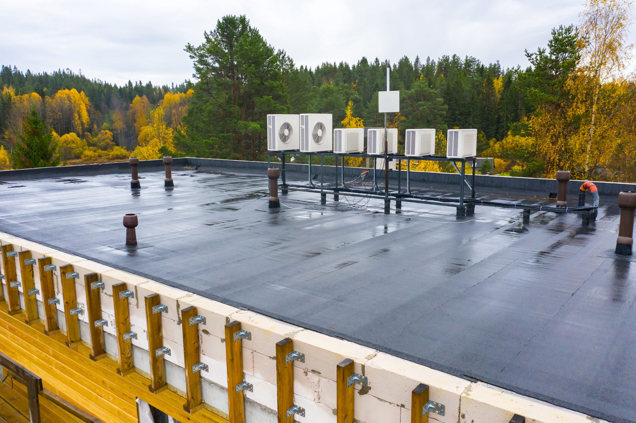 The dark flat roof of the warehouse with coniferous forest in the background